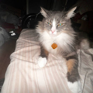 Meet your Posher, Jared